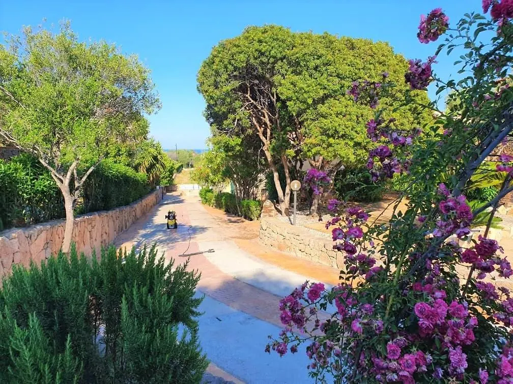 Villa Saba Olbia
